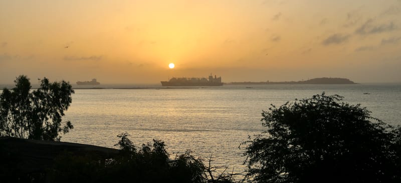 2. DAKAR 2 : Le port, les pêcheurs, le littoral atlantique et ses oiseaux