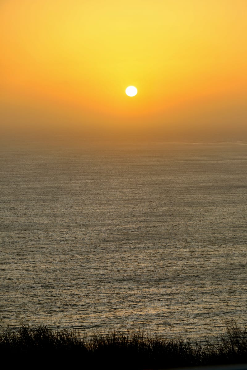 2. DAKAR 2 : Le port, les pêcheurs, le littoral atlantique et ses oiseaux