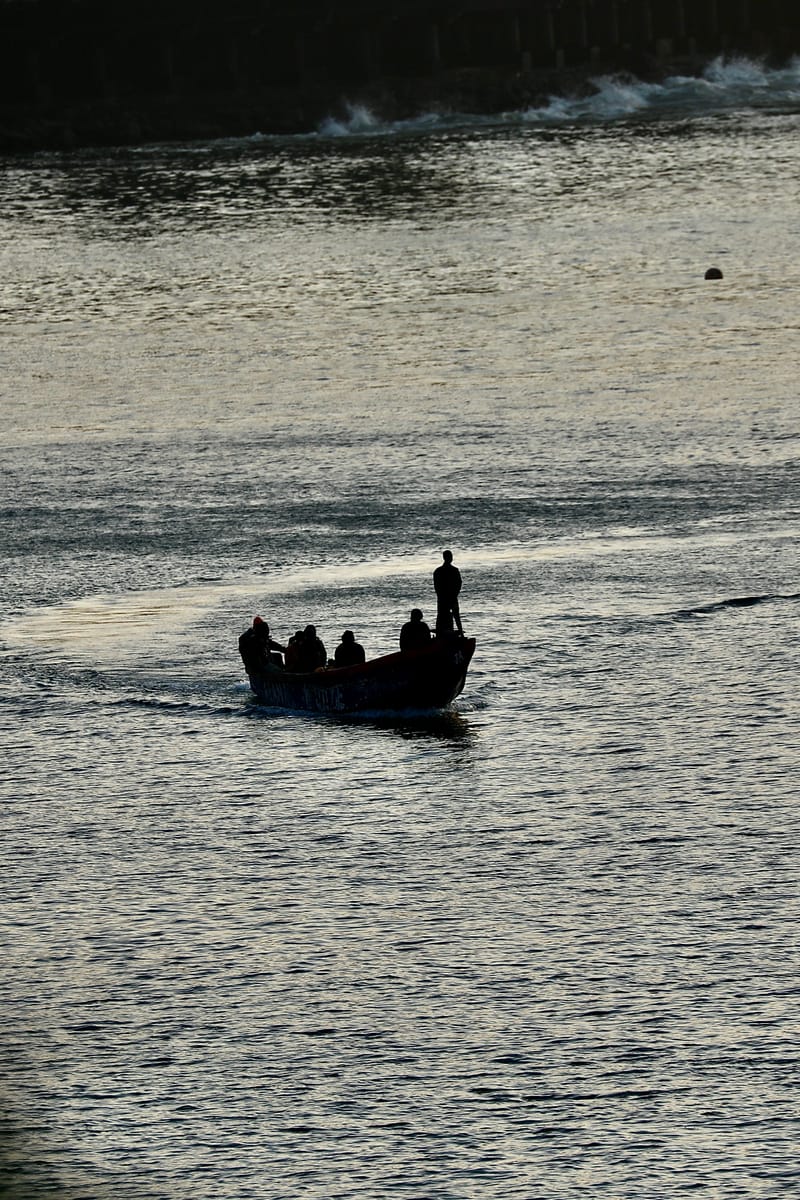 2. DAKAR 2 : Le port, les pêcheurs, le littoral atlantique et ses oiseaux