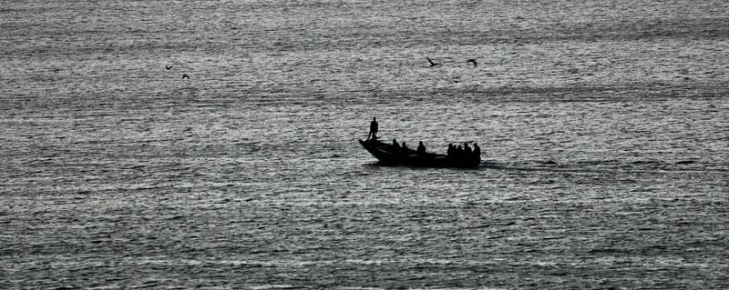 2. DAKAR 2 : Le port, les pêcheurs, le littoral atlantique et ses oiseaux