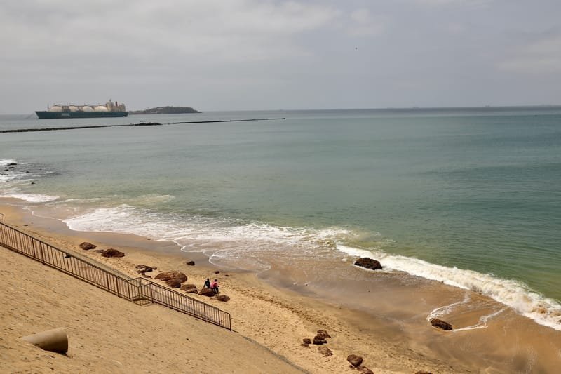 2. DAKAR 2 : Le port, les pêcheurs, le littoral atlantique et ses oiseaux