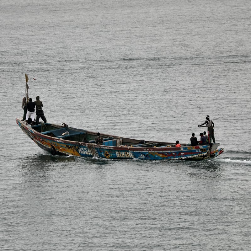 2. DAKAR 2 : Le port, les pêcheurs, le littoral atlantique et ses oiseaux