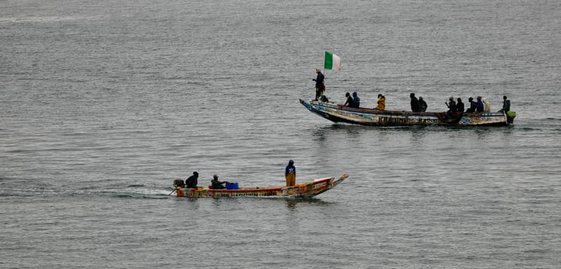 2. DAKAR 2 : Le port, les pêcheurs, le littoral atlantique et ses oiseaux