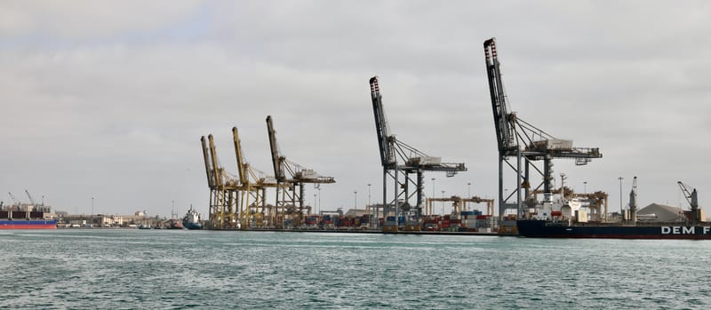 2. DAKAR 2 : Le port, les pêcheurs, le littoral atlantique et ses oiseaux