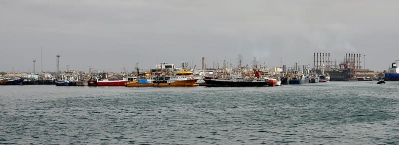 2. DAKAR 2 : Le port, les pêcheurs, le littoral atlantique et ses oiseaux