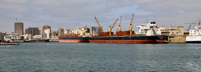 2. DAKAR 2 : Le port, les pêcheurs, le littoral atlantique et ses oiseaux