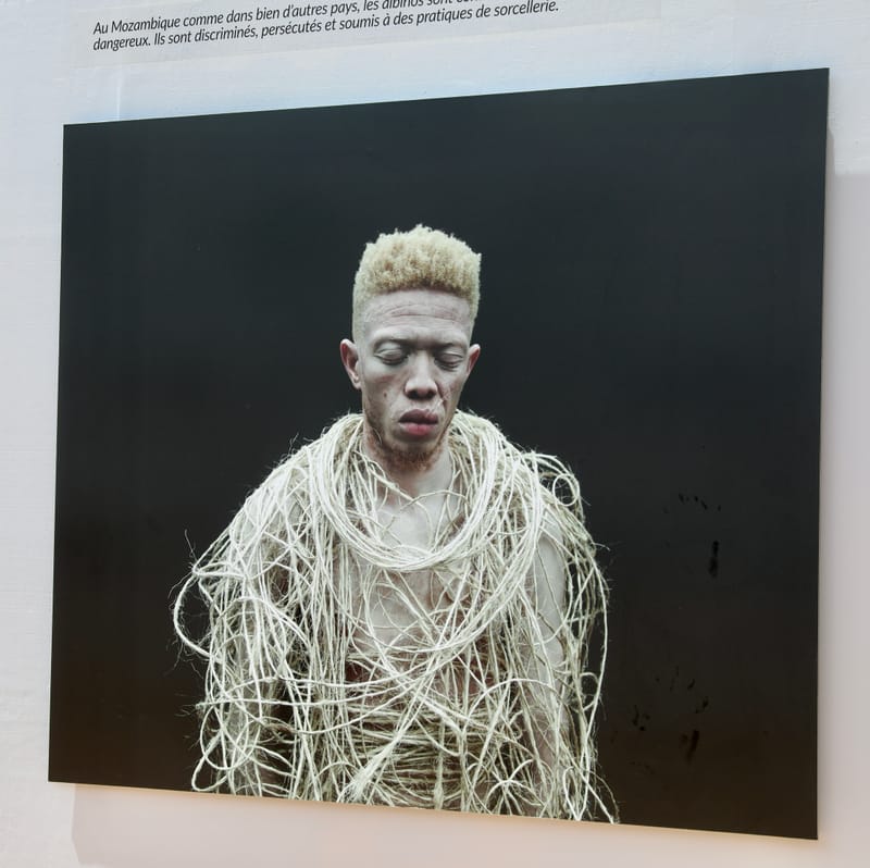 4. DAKAR 4 : l'île de Gorée, aux racines de l'esclavage