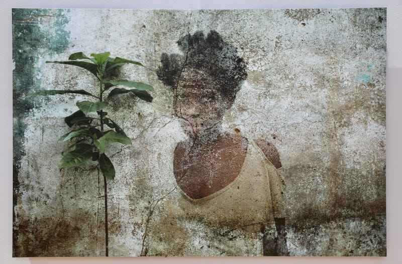 4. DAKAR 4 : l'île de Gorée, aux racines de l'esclavage