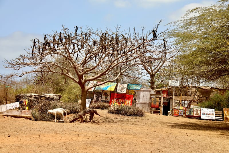 4. DAKAR 4 : l'île de Gorée, aux racines de l'esclavage