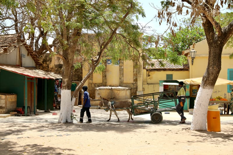4. DAKAR 4 : l'île de Gorée, aux racines de l'esclavage