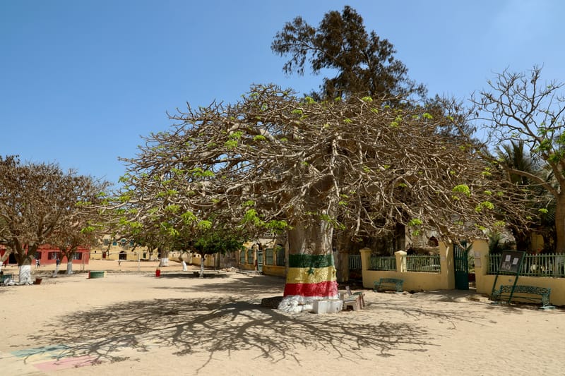 4. DAKAR 4 : l'île de Gorée, aux racines de l'esclavage