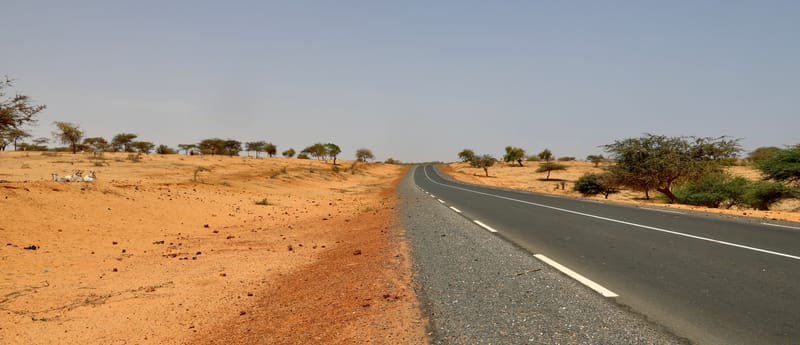 6. Désert de baobabs sur la route de Saint Louis