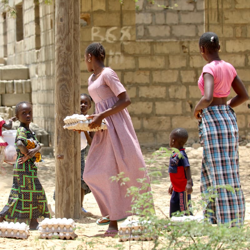 6. Désert de baobabs sur la route de Saint Louis