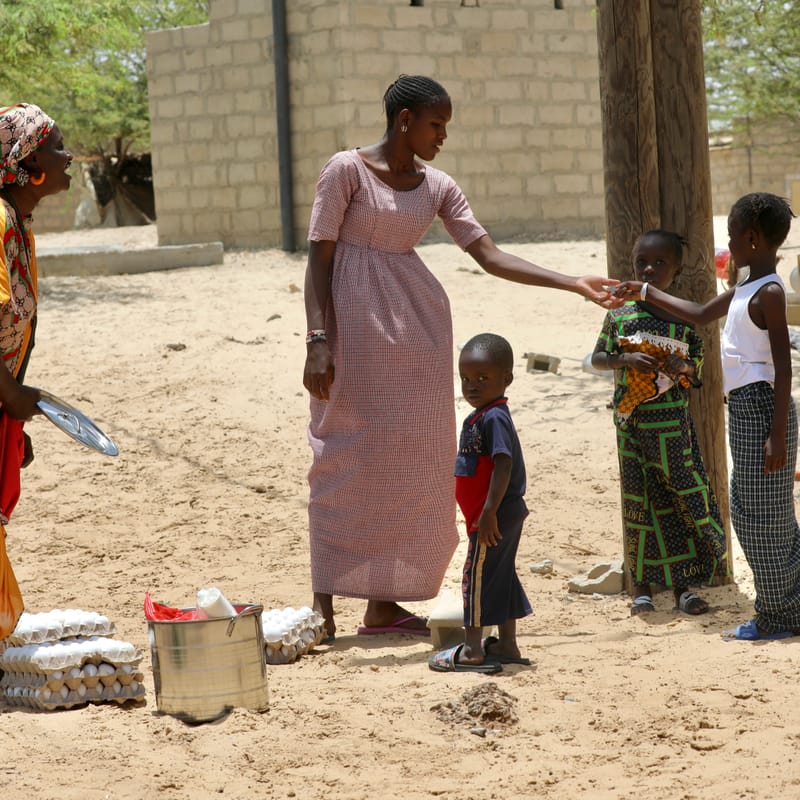 6. Désert de baobabs sur la route de Saint Louis