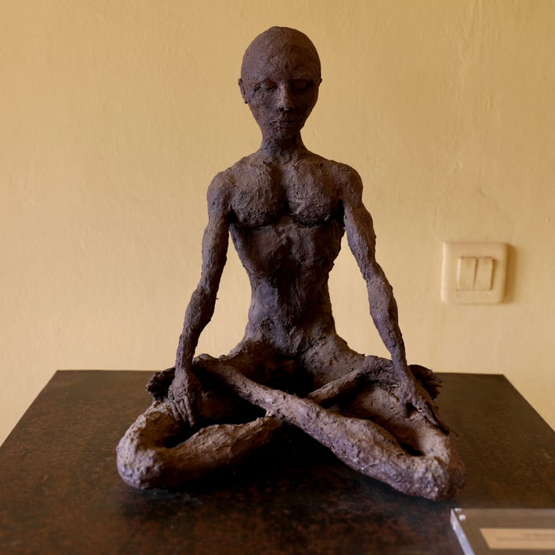 3. DAKAR 3 : L'Espace Eco-culturel d'Ousmane Sow, sculpteur