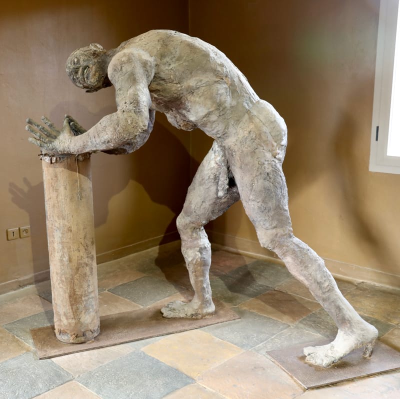 3. DAKAR 3 : L'Espace Eco-culturel d'Ousmane Sow, sculpteur