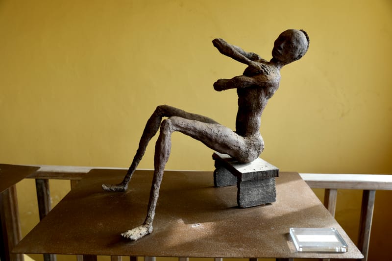 3. DAKAR 3 : L'Espace Eco-culturel d'Ousmane Sow, sculpteur