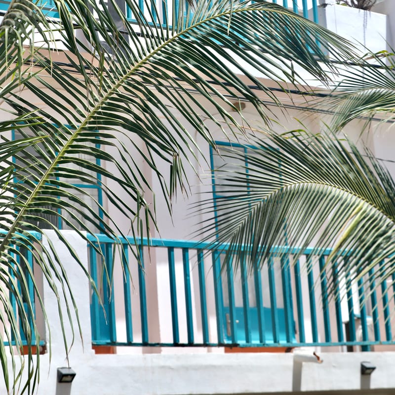 7. SAINT LOUIS 1 : Centre Ville et pont Faidherbe