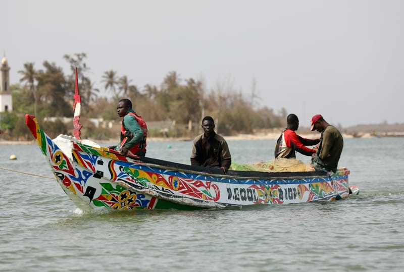 8. SAINT LOUIS 2 : Le Parc National de la Langue de Barbarie (île aux oiseaux)