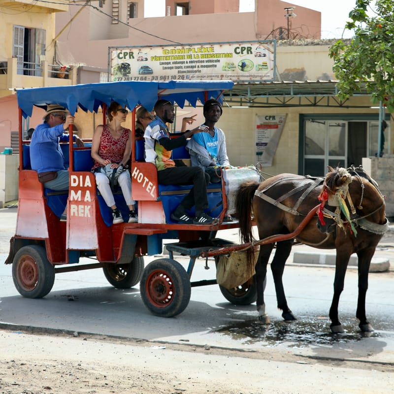 9. SAINT LOUIS 3 : Le Quartier des Pêcheurs, en calèche