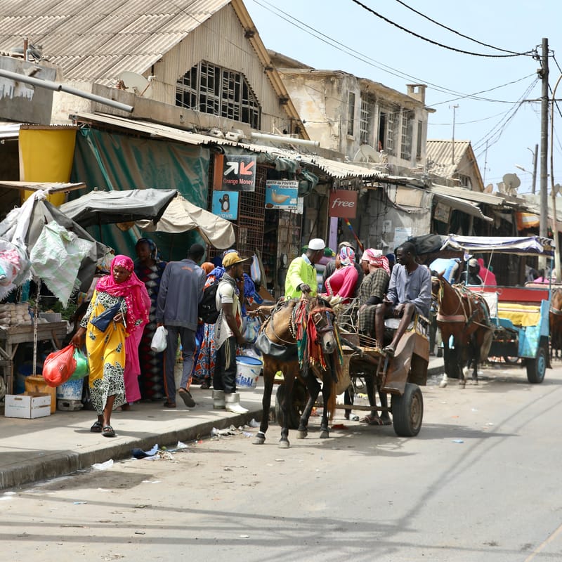 9. SAINT LOUIS 3 : Le Quartier des Pêcheurs, en calèche
