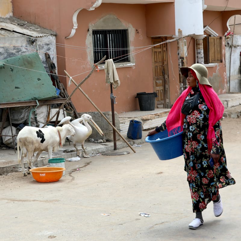 9. SAINT LOUIS 3 : Le Quartier des Pêcheurs, en calèche