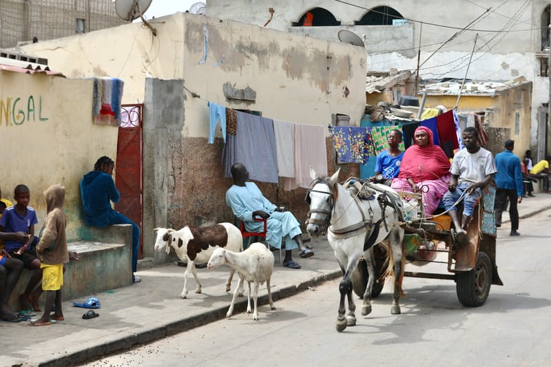9. SAINT LOUIS 3 : Le Quartier des Pêcheurs, en calèche