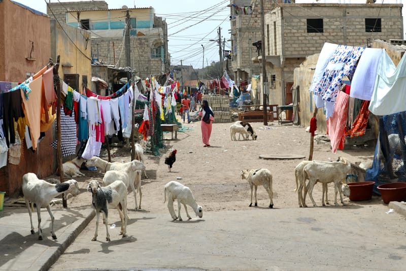 9. SAINT LOUIS 3 : Le Quartier des Pêcheurs, en calèche