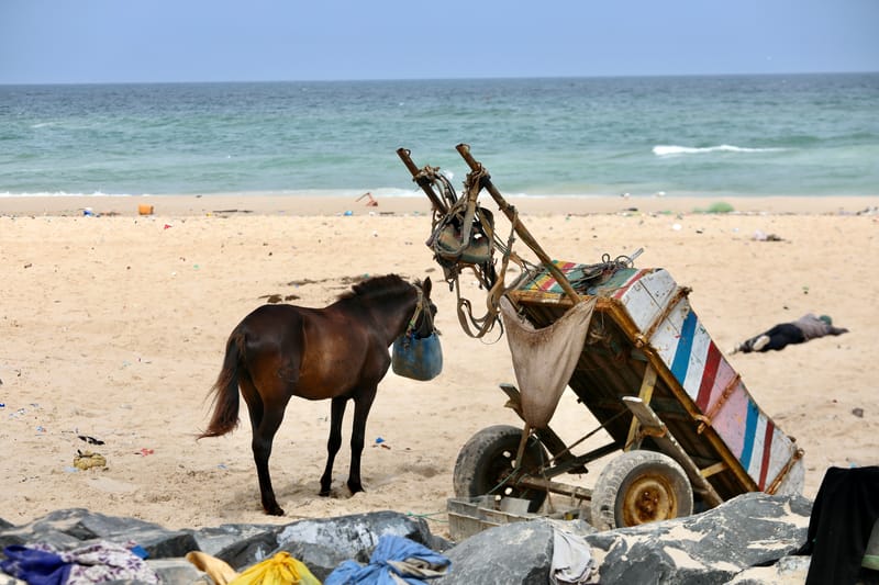 9. SAINT LOUIS 3 : Le Quartier des Pêcheurs, en calèche