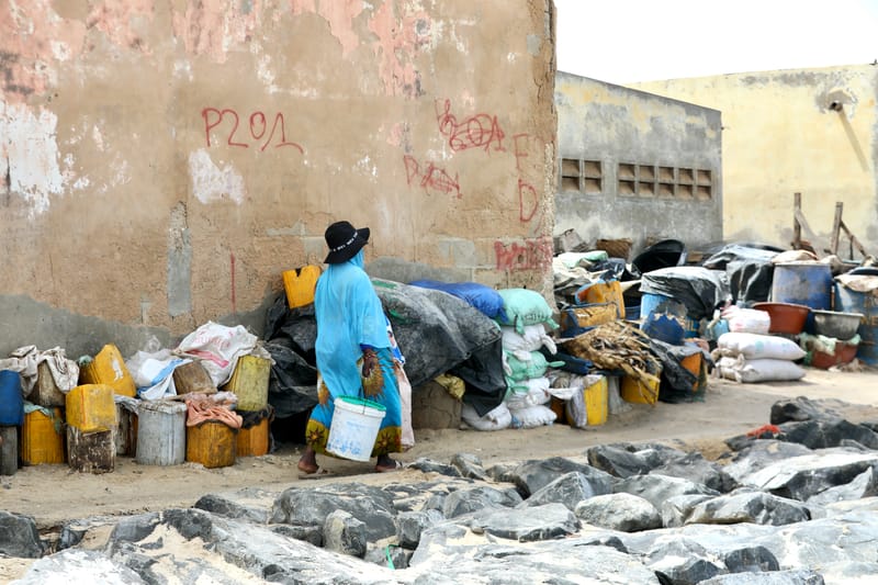 9. SAINT LOUIS 3 : Le Quartier des Pêcheurs, en calèche