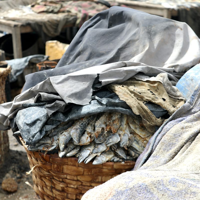 9. SAINT LOUIS 3 : Le Quartier des Pêcheurs, en calèche