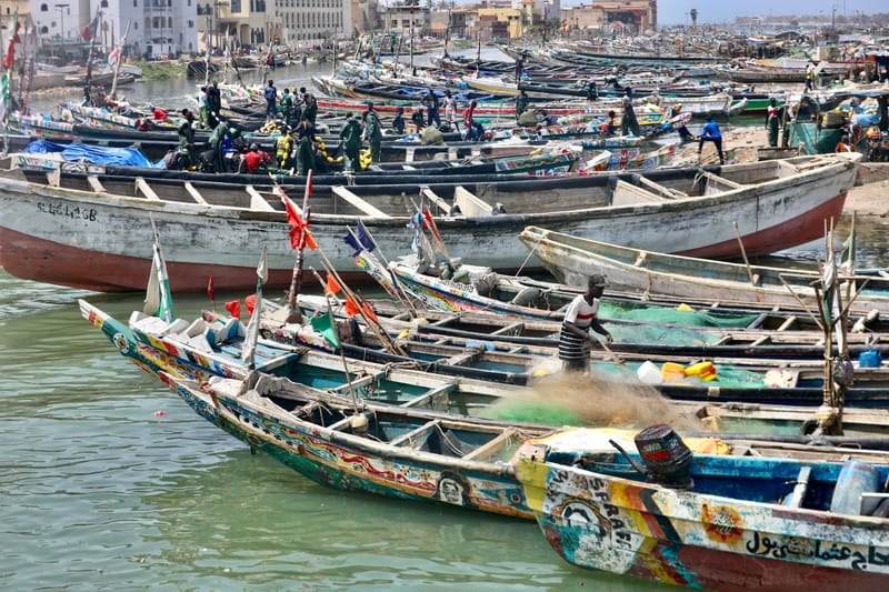 9. SAINT LOUIS 3 : Le Quartier des Pêcheurs, en calèche