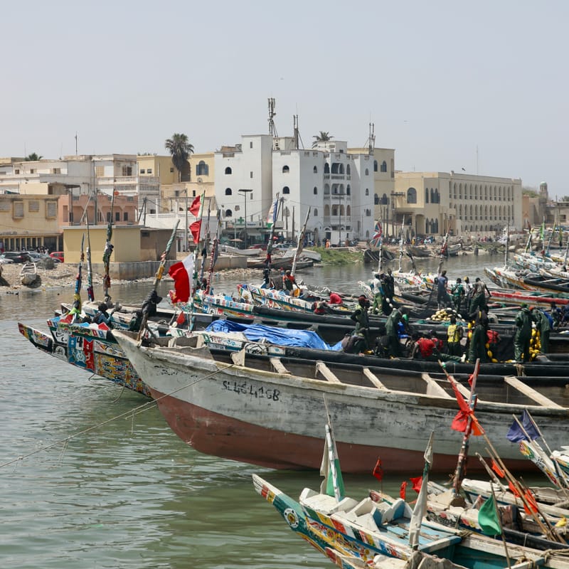 9. SAINT LOUIS 3 : Le Quartier des Pêcheurs, en calèche