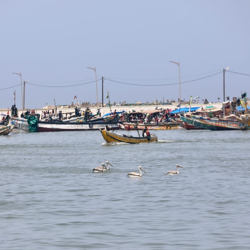 9. SAINT LOUIS 3 : Le Quartier des Pêcheurs, en calèche