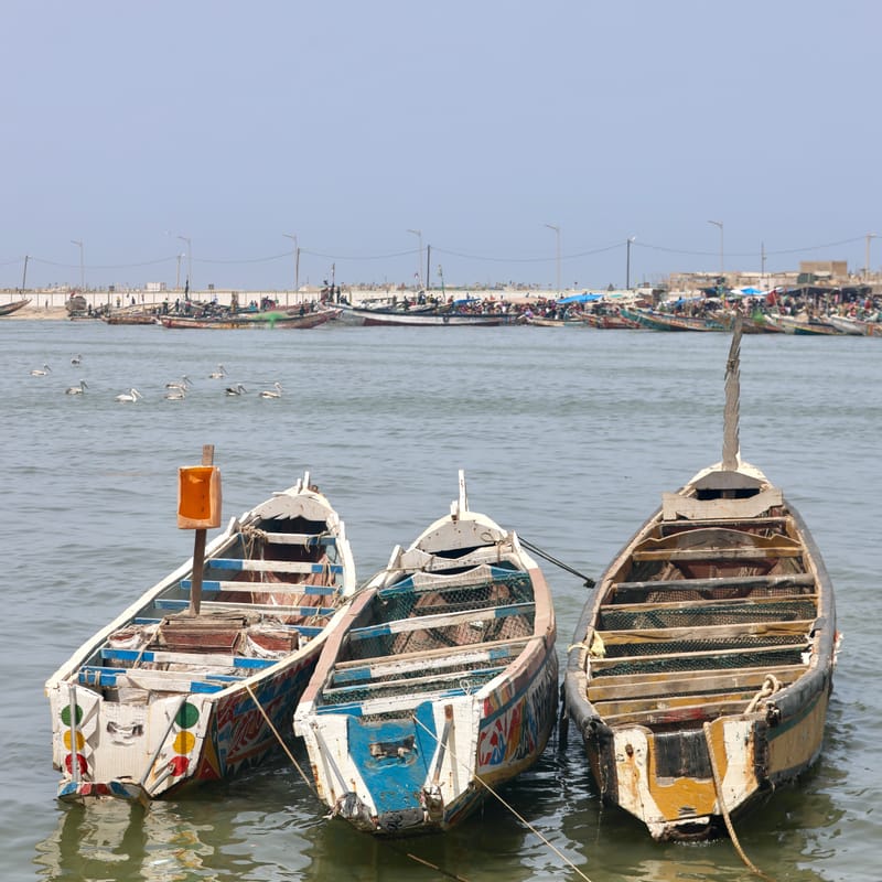 9. SAINT LOUIS 3 : Le Quartier des Pêcheurs, en calèche
