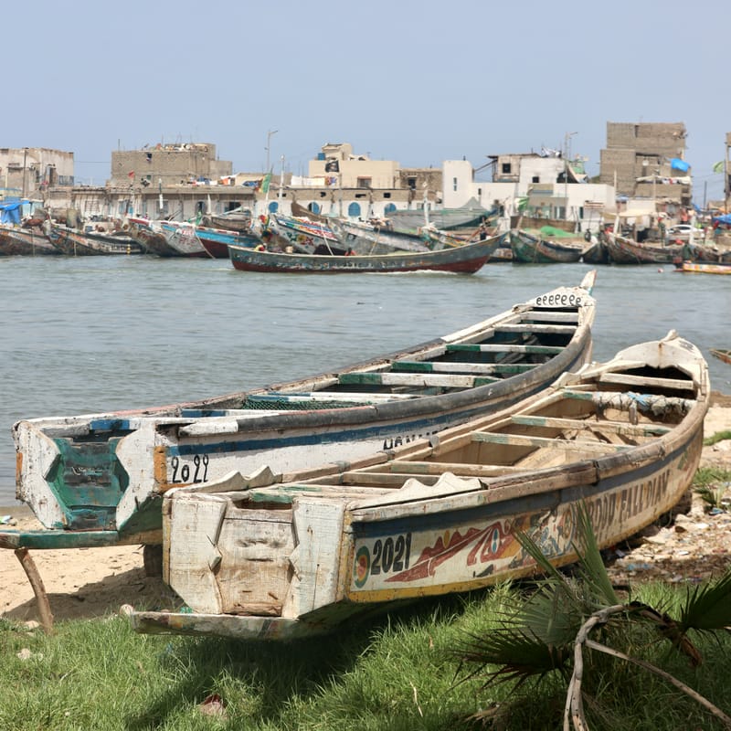 9. SAINT LOUIS 3 : Le Quartier des Pêcheurs, en calèche