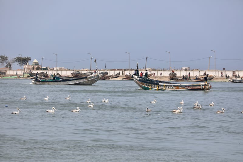 9. SAINT LOUIS 3 : Le Quartier des Pêcheurs, en calèche