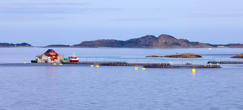 6. Iles Lofoten : Le Top panoramas