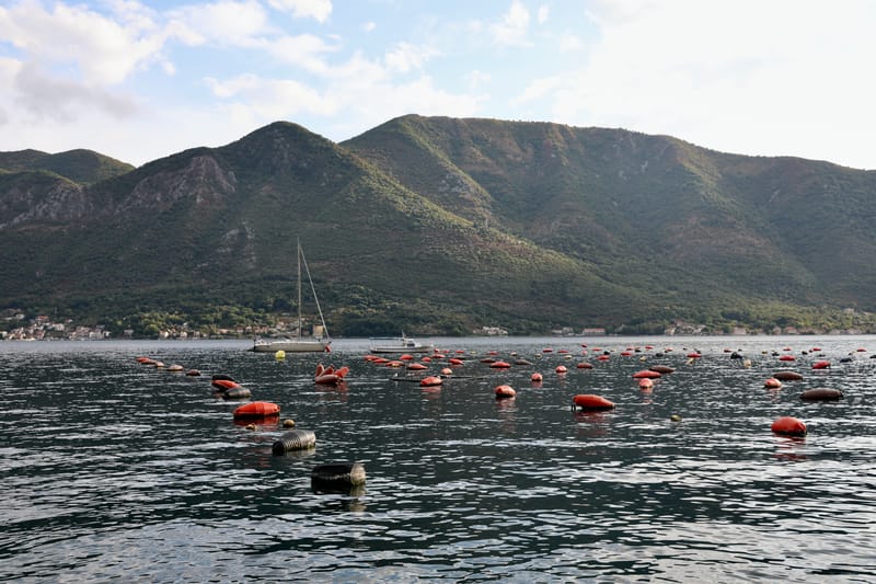 MONTENEGRO 2 : KOTOR et ses BOUCHES