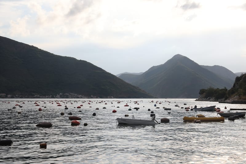 MONTENEGRO 2 : KOTOR et ses BOUCHES