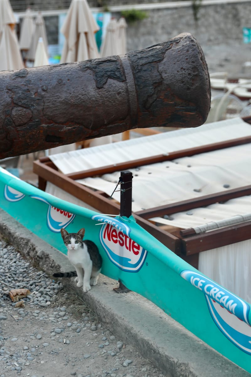 MONTENEGRO 1 : HERCEG NOVI