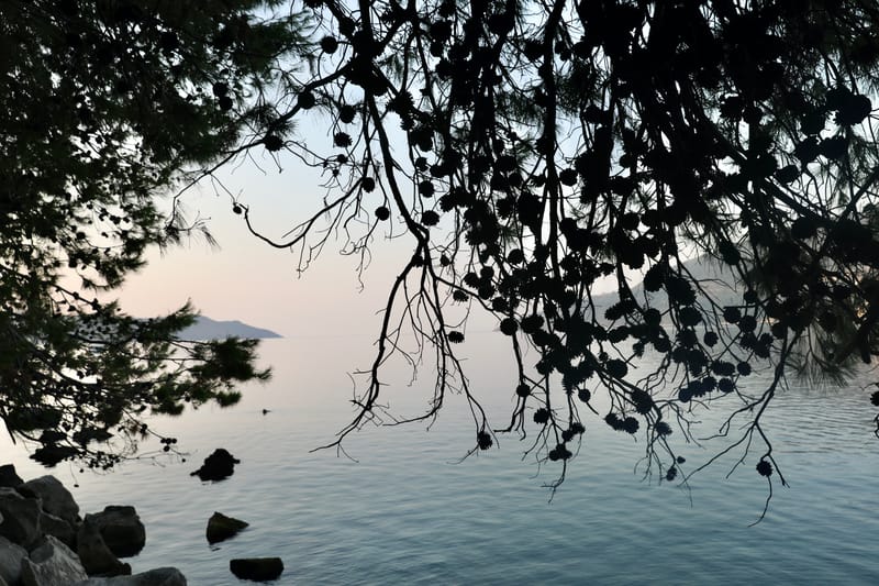 MONTENEGRO 1 : HERCEG NOVI