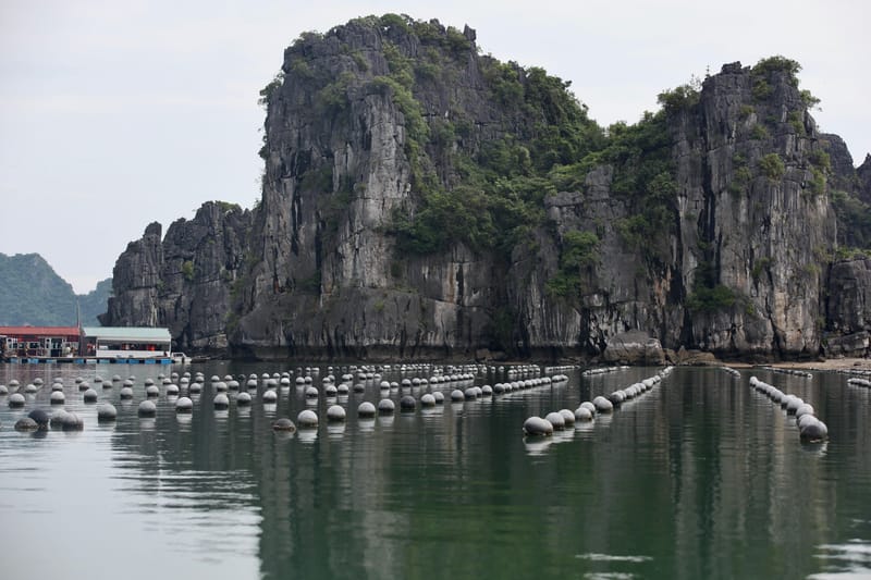 3. Baie d'Ha Long, vues à l'horizontal