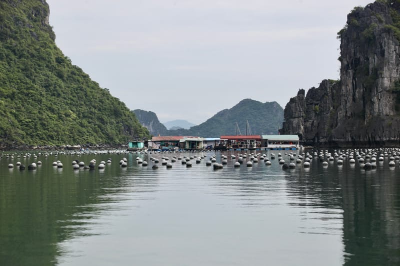 3. Baie d'Ha Long, vues à l'horizontal