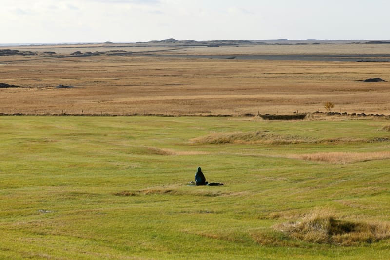 5. TOP de TOP chez les Insolites