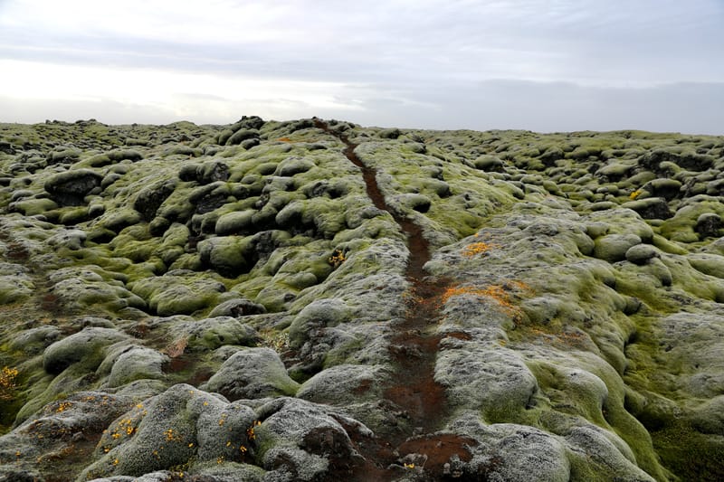 4. TOP de TOP : Islande 2023