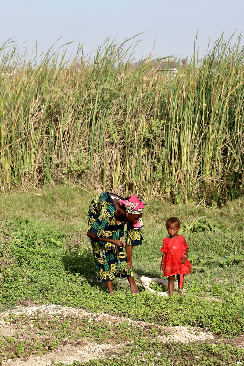 3. SENEGAL : Peuple du Lac Rose et du Littoral Atlantique