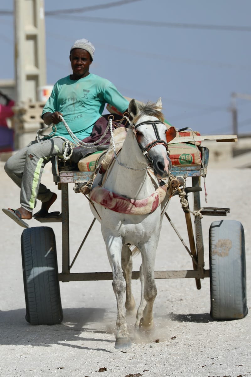 3. SENEGAL : Peuple du Lac Rose et du Littoral Atlantique