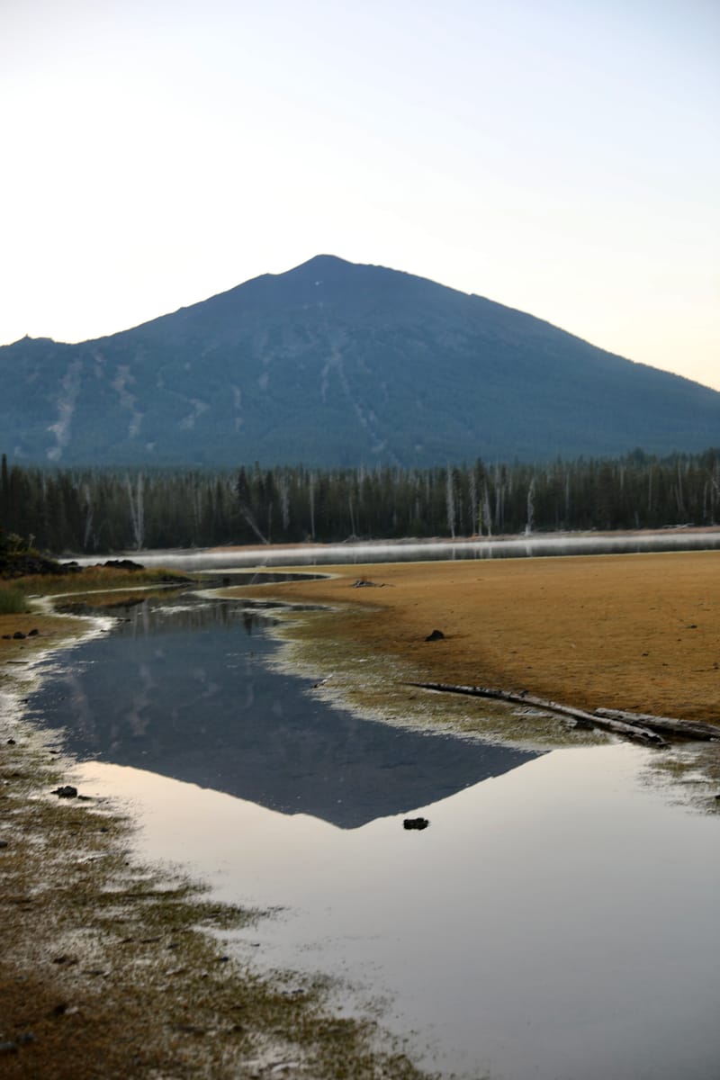 8. TOP de TOP : Reflets et bouts de bois sur le lac Sparks (vtl)