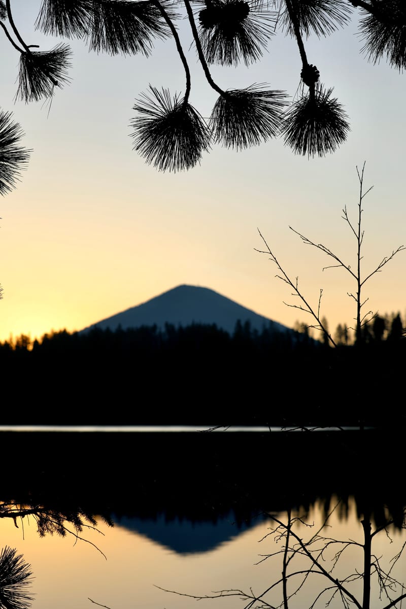 8. TOP de TOP : Reflets et bouts de bois sur le lac Sparks (vtl)